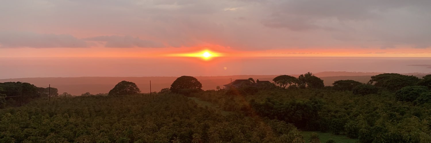 Francesca Enos banner