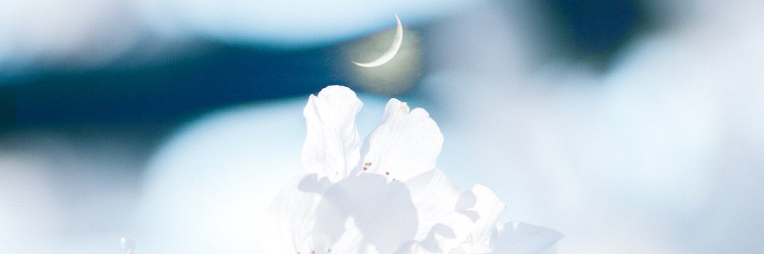 masshiro_keke's profile banner image