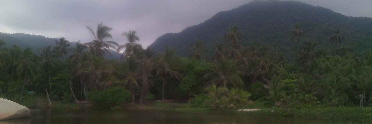TataOlivera12's profile banner image