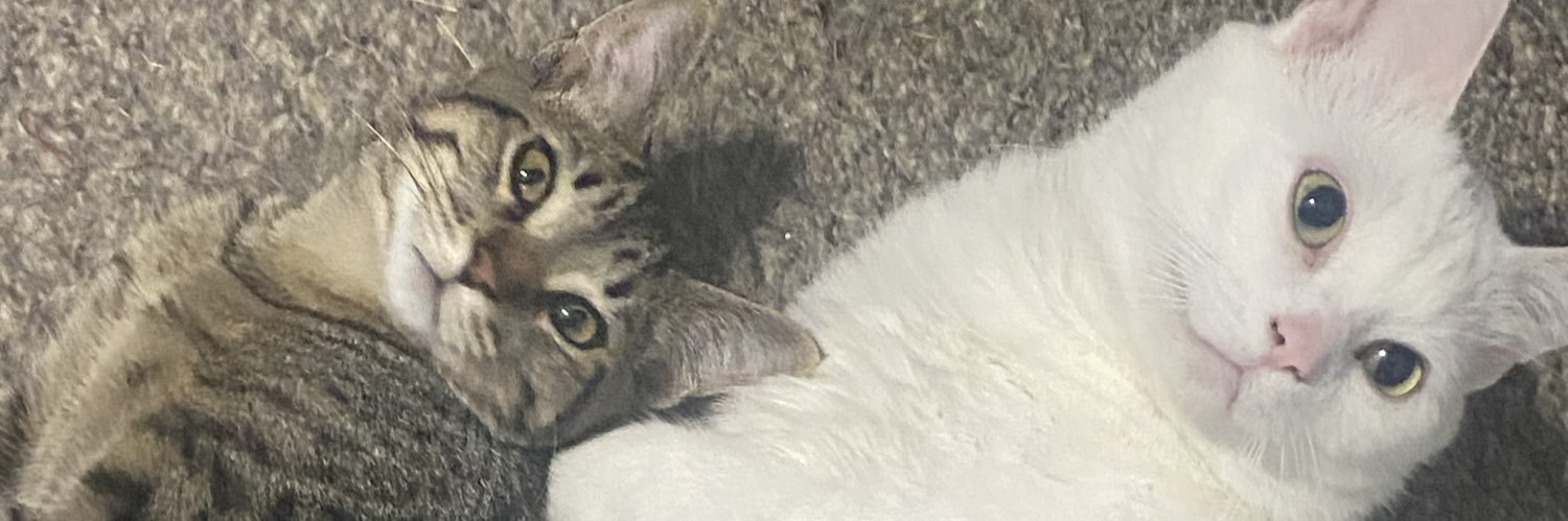 The Long Road banner