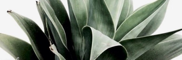 sam_redett's profile banner image