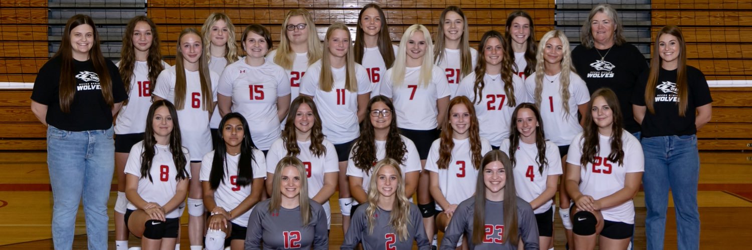 RSHS Lady Wolves Volleyball banner