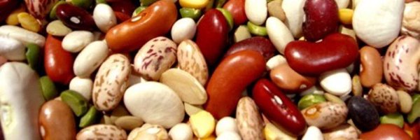 drbeans1 Profile Banner