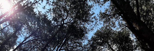 ImGovindDixit Profile Banner