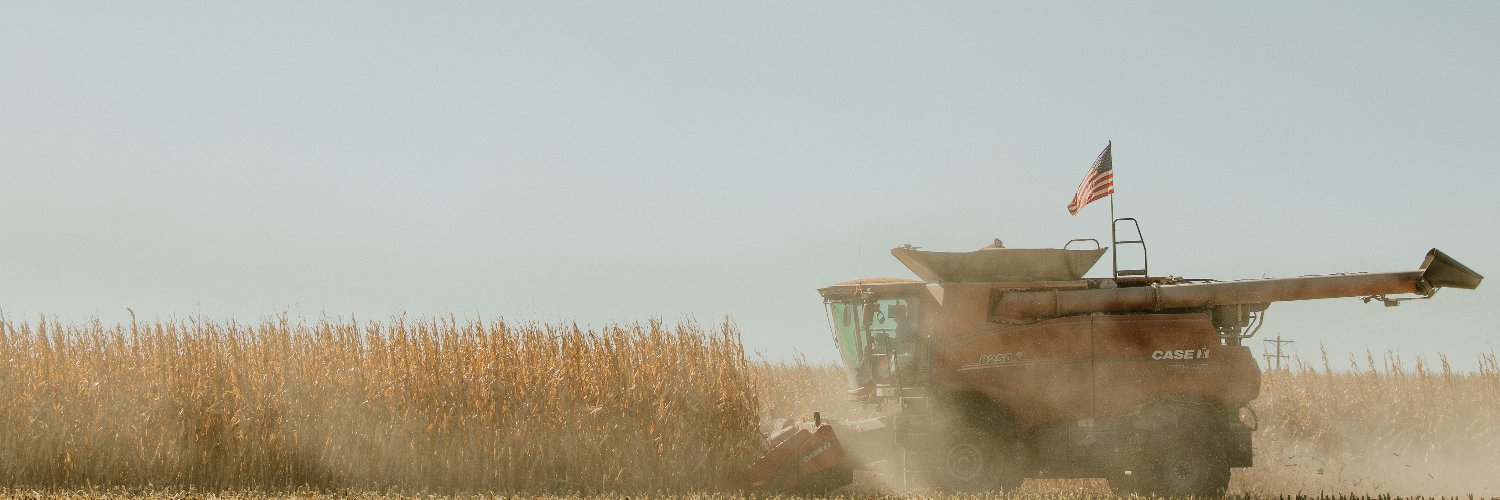 NECornBoard's profile banner image