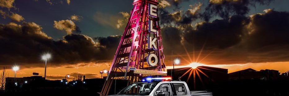 Nevada State Police - not active banner