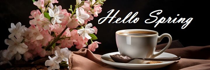 𝓐𝓷𝓪 banner
