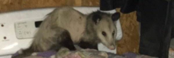 IronChefOfMeth Profile Banner