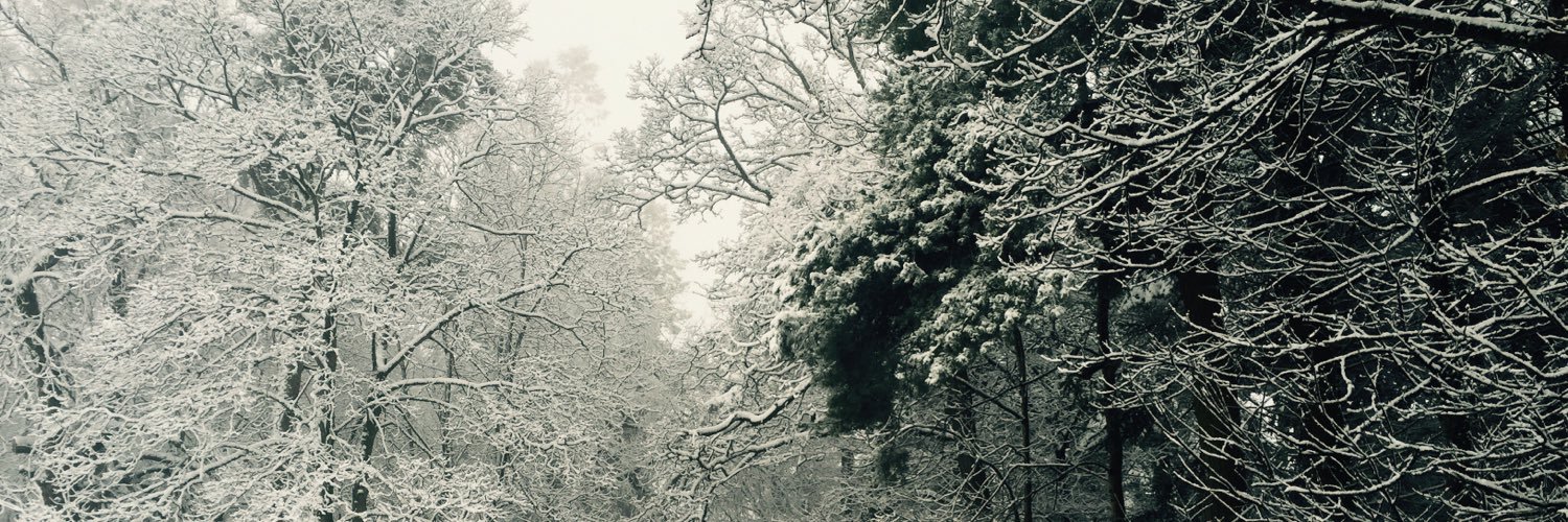 DebbieCowell1's profile banner image