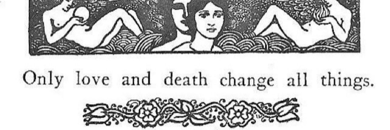 linha banner