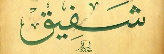 shafeeqBee's profile banner image