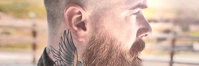 todd_showdown's profile banner image