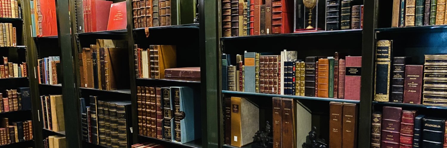 Annarose Foley banner