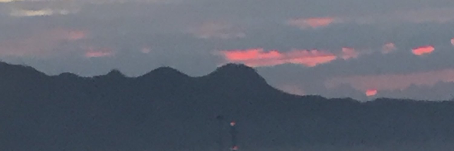 El monito de jengibre banner