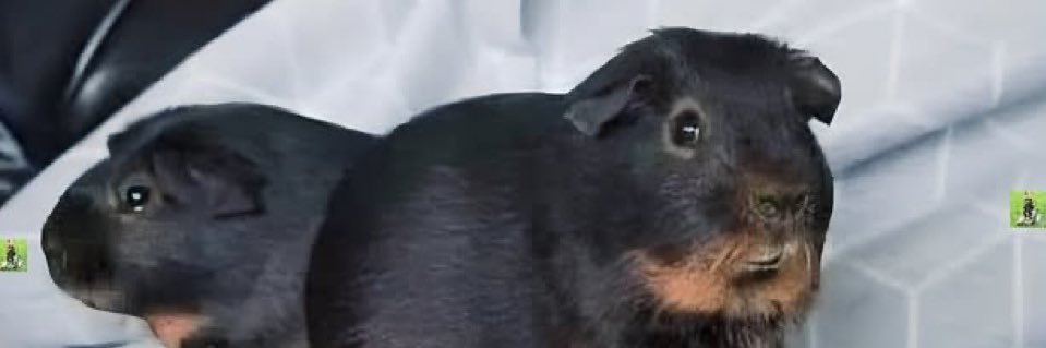 rainfather7's profile banner image