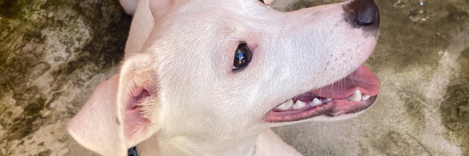 pabloruan_'s profile banner image