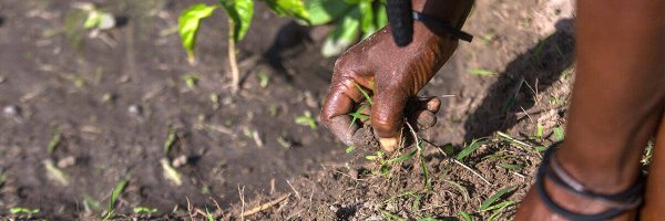 Lyablo Profile Banner