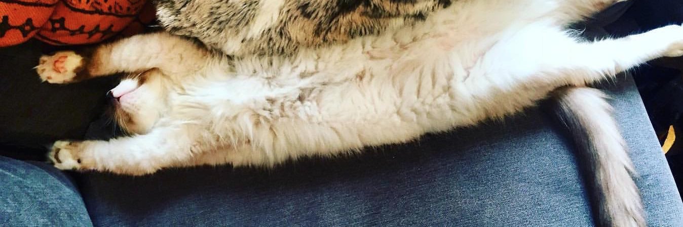 Spud (& Crumpet) banner