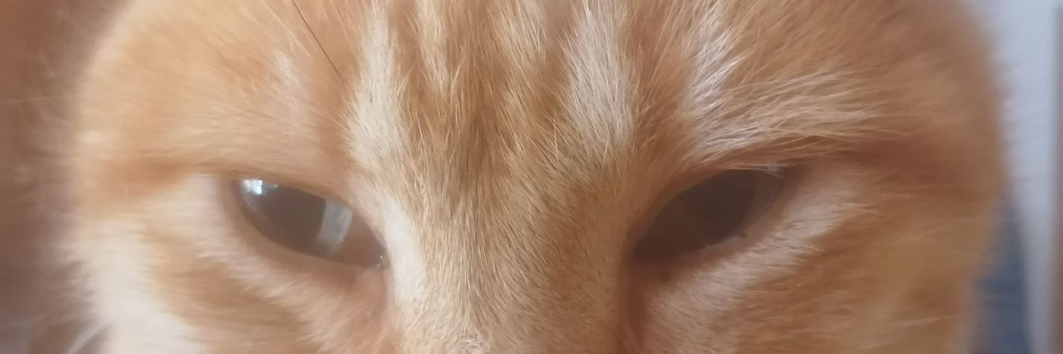 liukcio's profile banner image