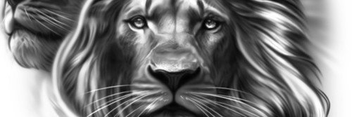 KinkkeeNUFC🏴󠁧󠁢󠁥󠁮󠁧󠁿🖤⚽️🖤⚽️🇮🇱 banner