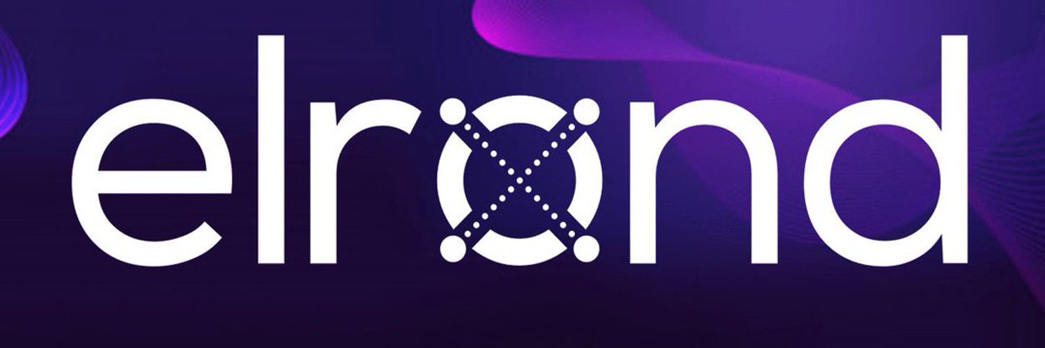 Crypto lover 💫 #EGLD admirer banner