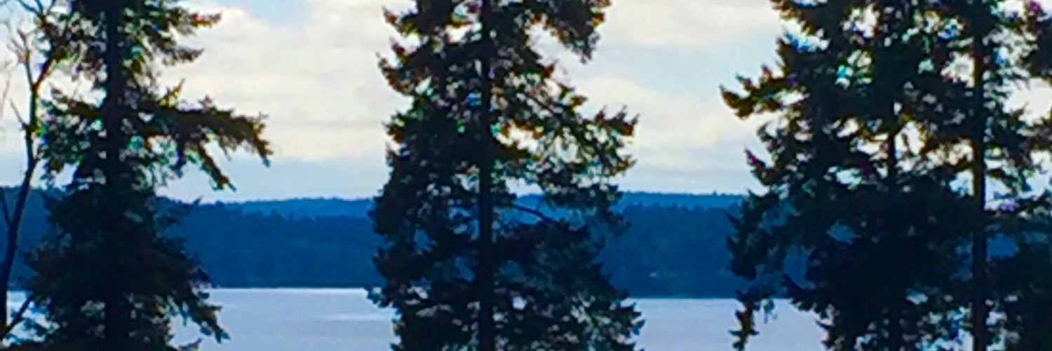 WastelandWander banner