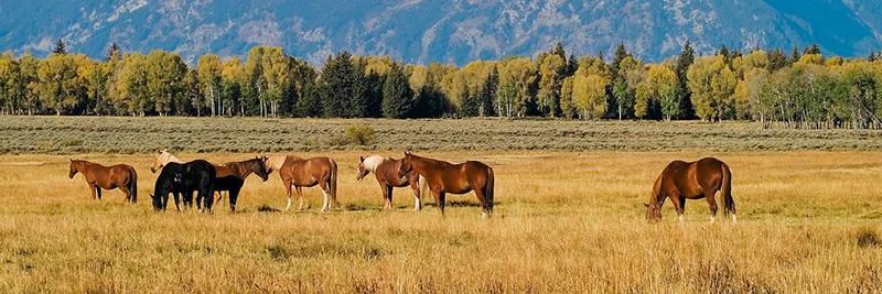 Amanda Elrond⚡️ banner