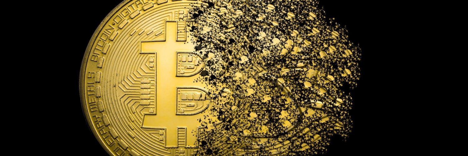 Jeanette Silva banner