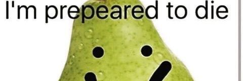 evavocad0's profile banner image