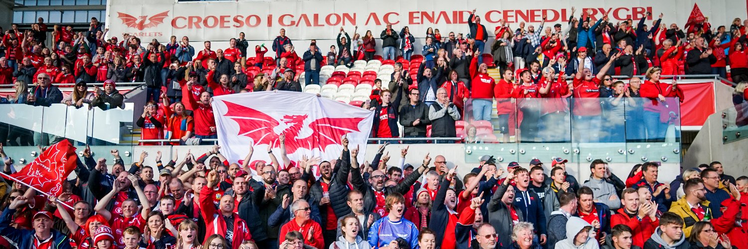 #RugbyScarlets banner