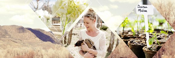 KatieHeigl Profile Banner