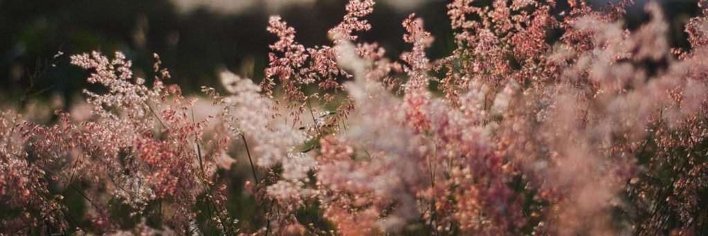 Tatertott_'s profile banner image