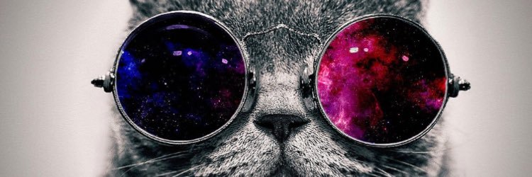 llaragarcia's profile banner image