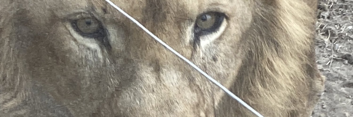 gultens35's profile banner image