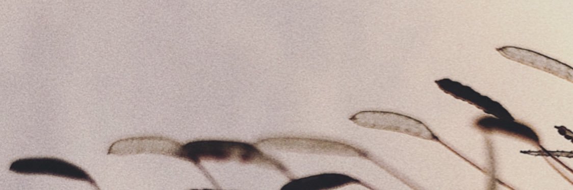 rosag98's profile banner image