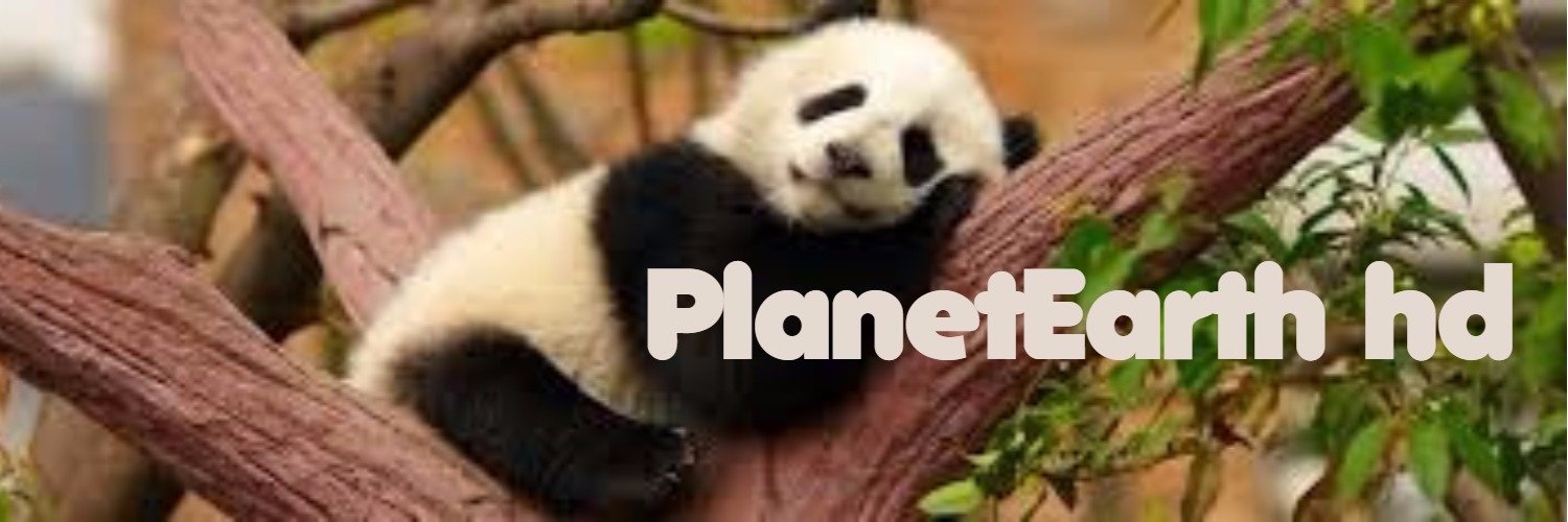 Stephen Davis banner