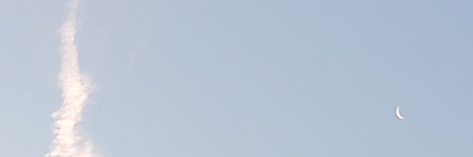 dead2me85's profile banner image