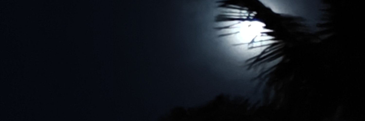 moonbeambichen's profile banner image