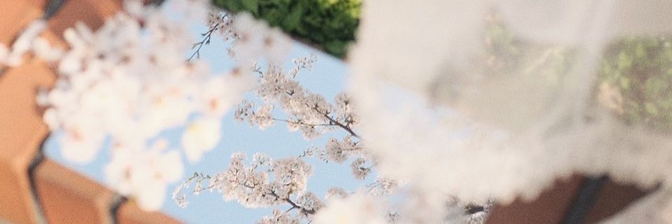 sasa banner