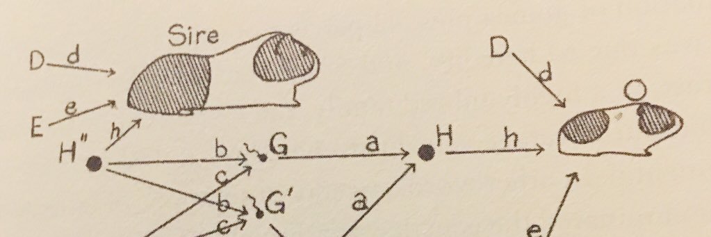 Daniel J Carter banner