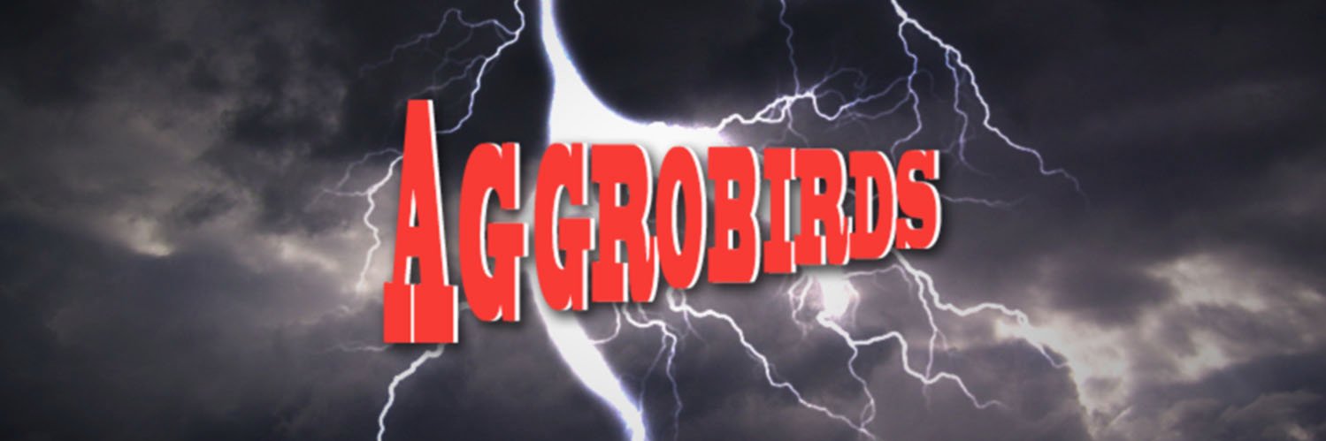 AggroBird's profile banner image