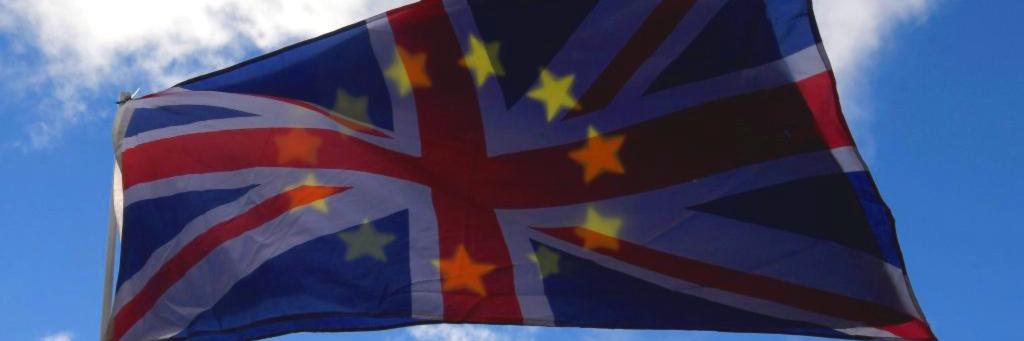 Omnia Mutantur, Nihil Interit 💙 banner