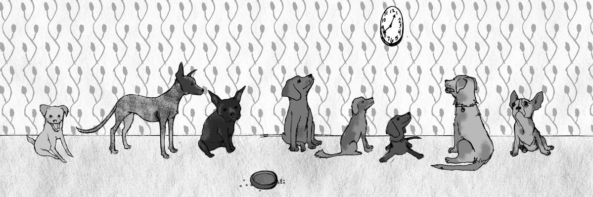 Off Color Brewing banner