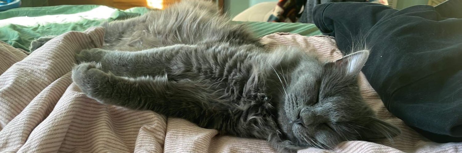 tár apologist ❤️‍🔥 banner