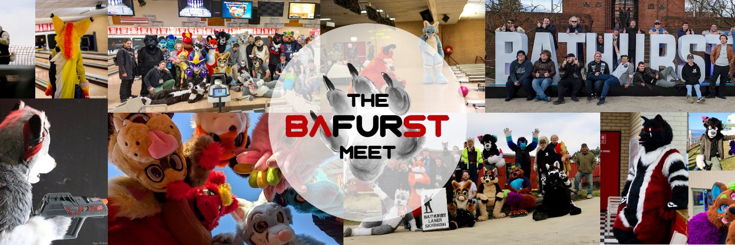 BaFURstMeet's profile banner image