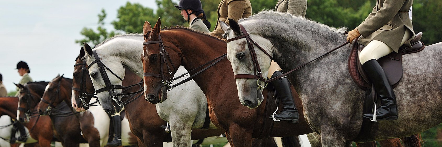 July Show at Tattersalls Ireland banner