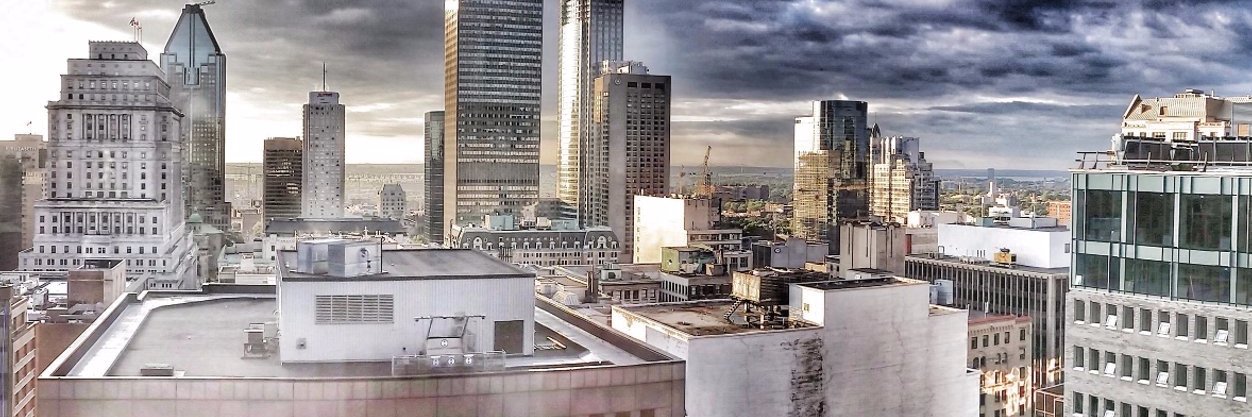 DocuVlog's profile banner image