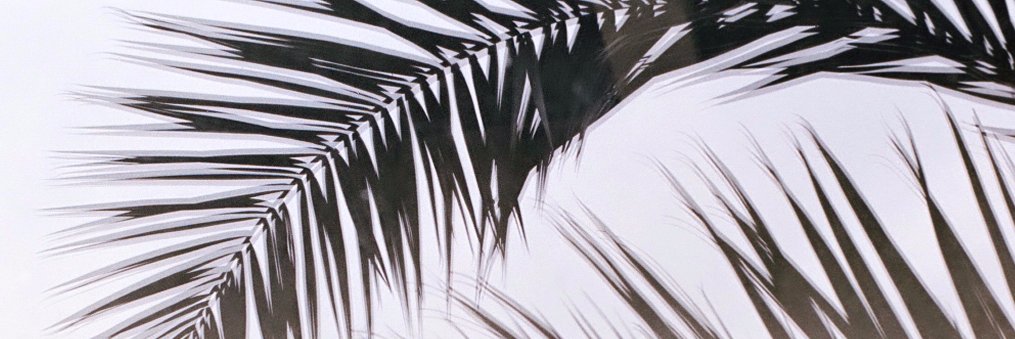 Manon_Ct's profile banner image