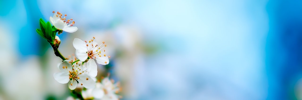 TxIRNR's profile banner image