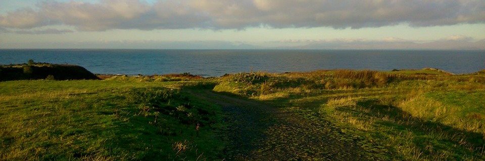 emmaallingham banner